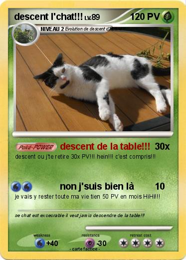Pokemon descent l'chat!!!