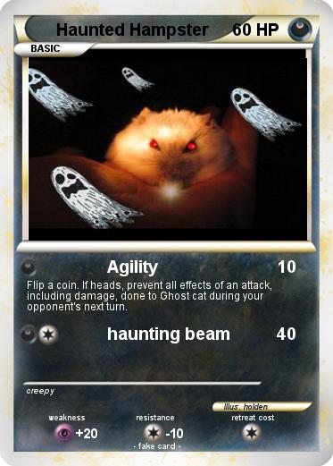 Pokemon Haunted Hampster