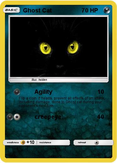 Pokemon Ghost Cat