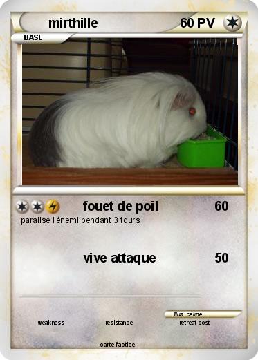 Pokemon mirthille