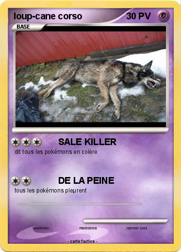 Pokemon loup-cane corso