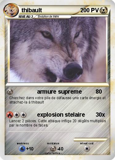Pokemon thibault