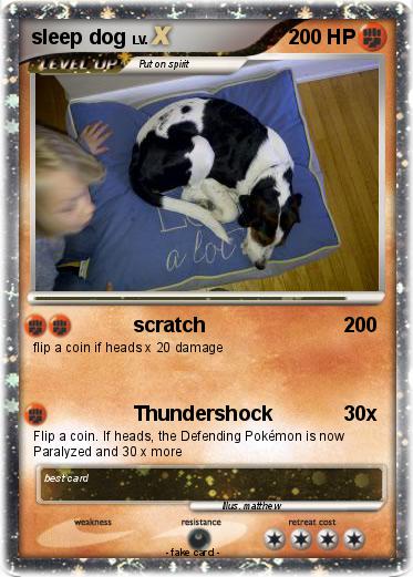 Pokemon sleep dog