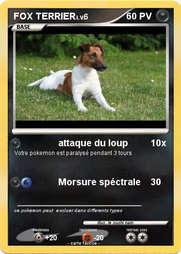 Pokemon FOX TERRIER