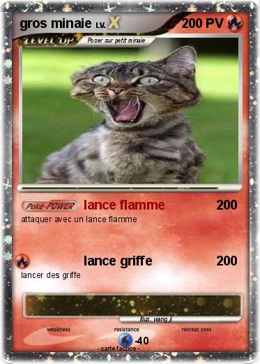 Pokemon gros minaie