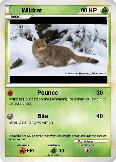 Pokemon Wildcat