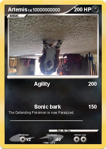 Pokemon Artemis