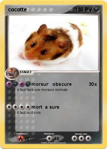 Pokemon cocotte