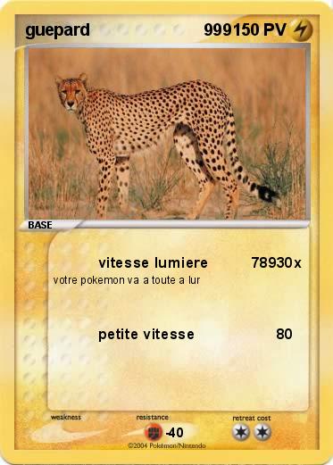 Pokemon guepard                         999    