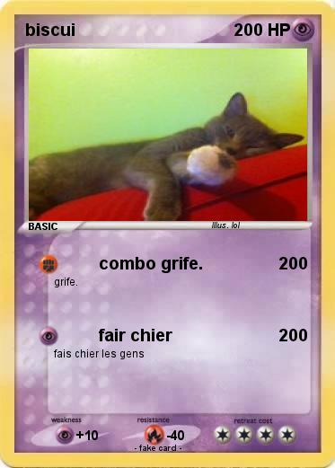 Pokemon biscui