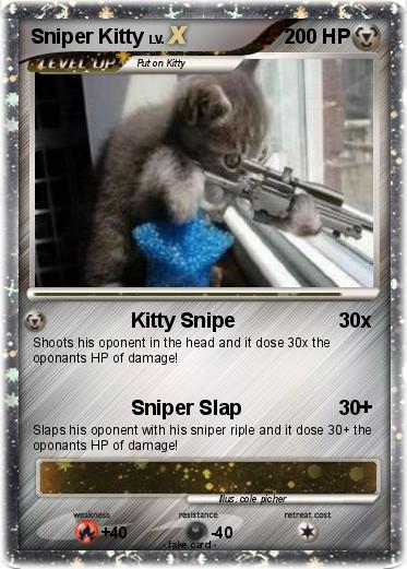 Pokemon Sniper Kitty