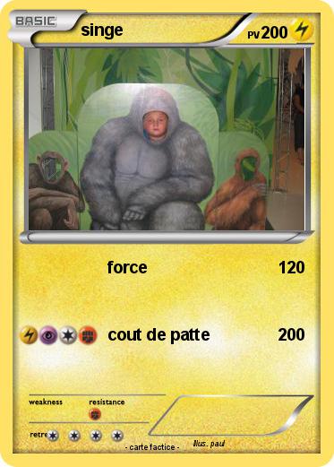 Pokemon singe