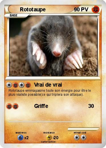 Pokemon Rototaupe
