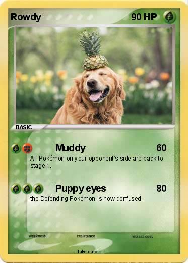 Pokemon Rowdy