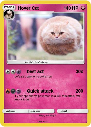 Pokemon Hover Cat