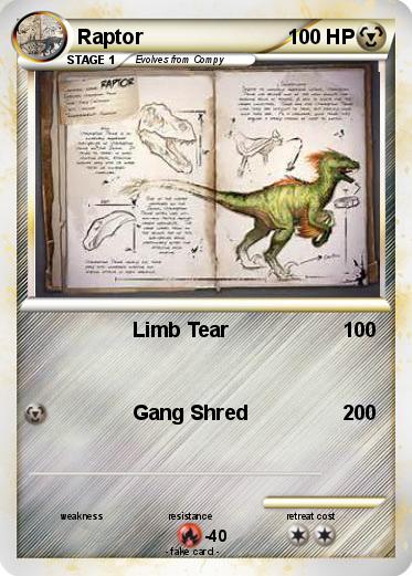 Pokemon Raptor