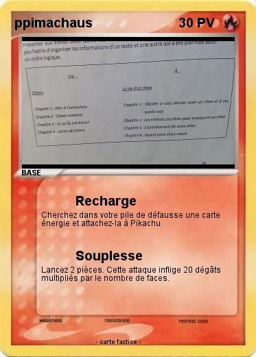 Pokemon ppimachaus