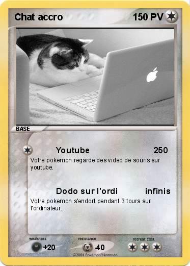 Pokemon Chat accro