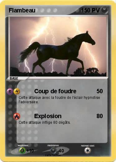 Pokemon Flambeau