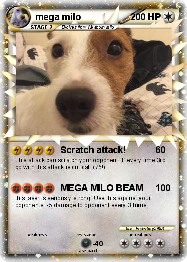 Pokemon mega milo