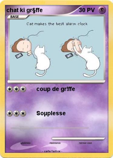 Pokemon chat ki gr§ffe