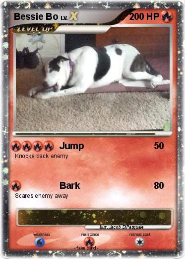 Pokemon Bessie Bo