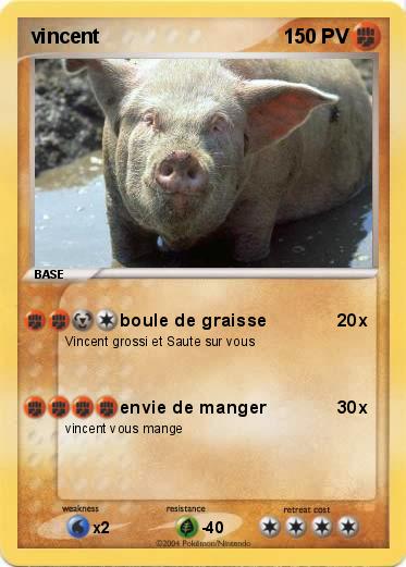 Pokemon vincent 