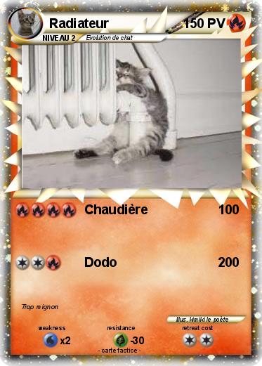 Pokemon Radiateur