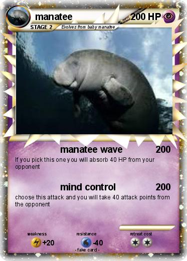 Pokemon manatee