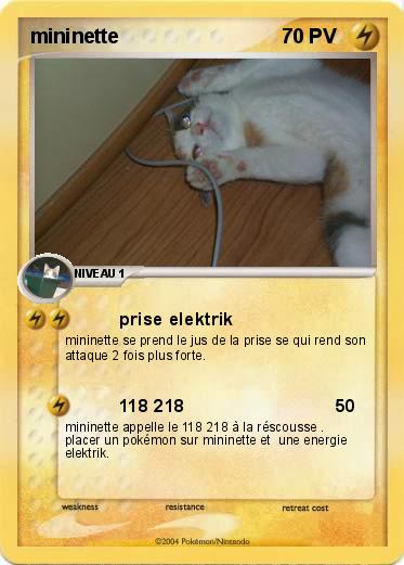 Pokemon mininette