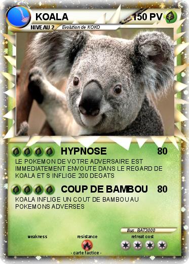Pokemon KOALA