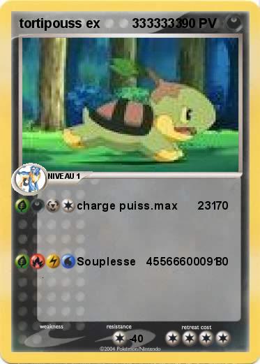 Pokemon tortipouss ex         3333333