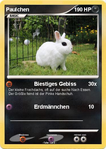 Pokemon Paulchen