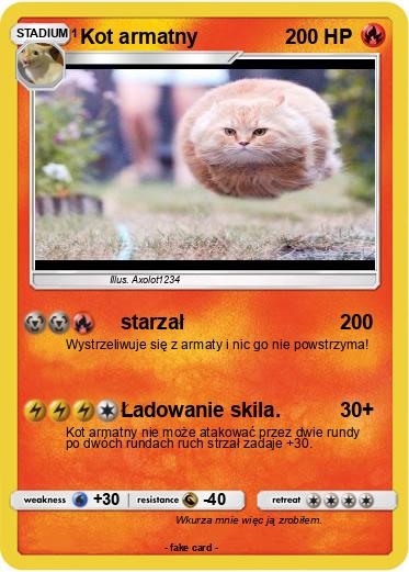 Pokemon Kot armatny