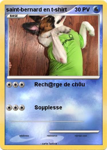 Pokemon saint-bernard en t-shirt