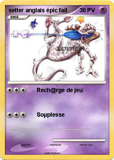 Pokemon setter anglais épic fail