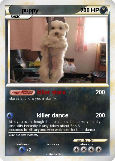 Pokemon puppy