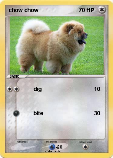 Pokemon chow chow