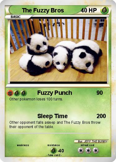 Pokemon The Fuzzy Bros
