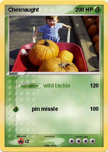 Pokemon Chesnaught