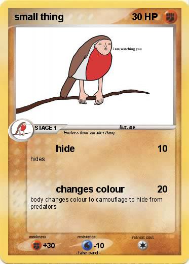 Pokemon small thing