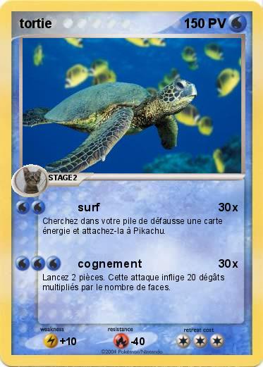 Pokemon tortie