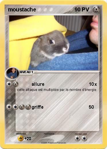 Pokemon moustache