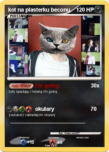 Pokemon kot na plasterku beconu