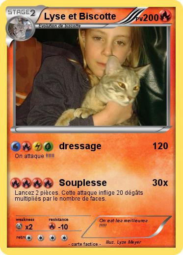 Pokemon Lyse et Biscotte