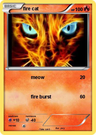 Pokemon fire cat