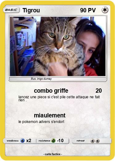 Pokemon Tigrou
