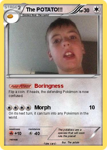 Pokemon The POTATO!!!