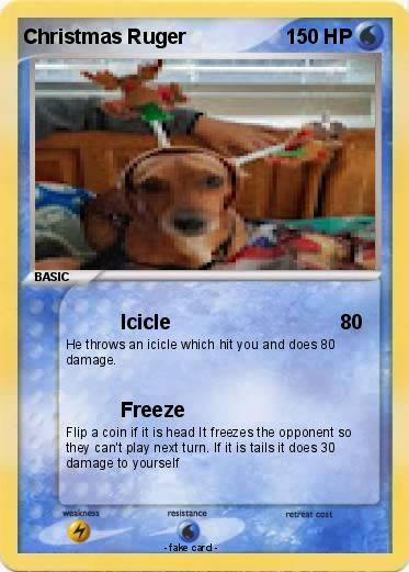 Pokemon Christmas Ruger