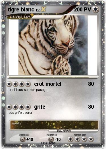 Pokemon tigre blanc